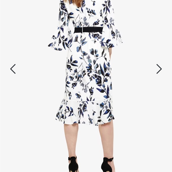 Phase Eight NWT dress - Picture 2 of 6